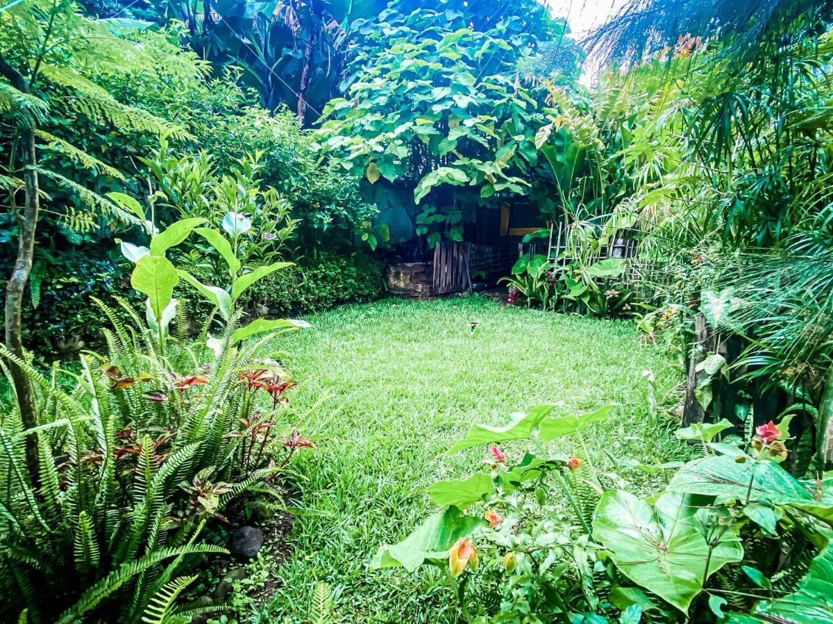 Unicorn Reborn - Peaceful Rentals Сан-Маркос-ла-Лагуна Экстерьер фото