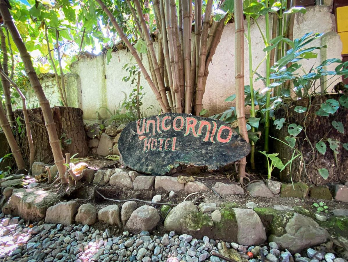 Unicorn Reborn - Peaceful Rentals Сан-Маркос-ла-Лагуна Экстерьер фото