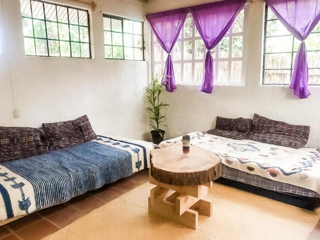 Unicorn Reborn - Peaceful Rentals Сан-Маркос-ла-Лагуна Экстерьер фото